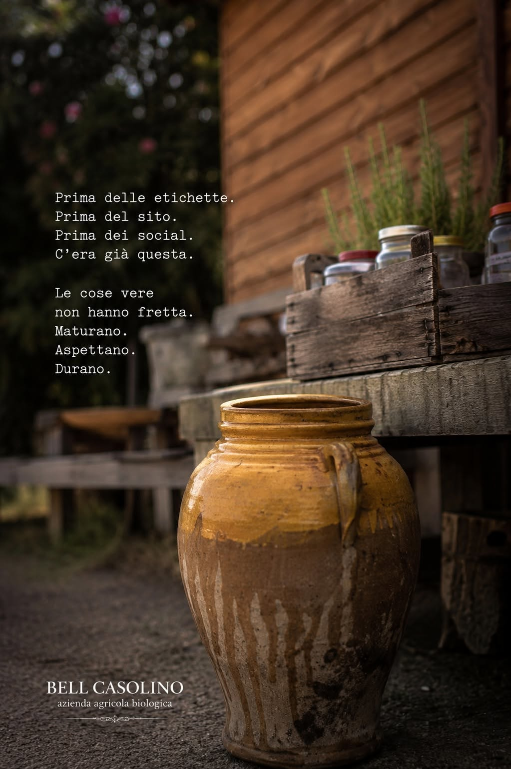 Le origini di Bell Casolino